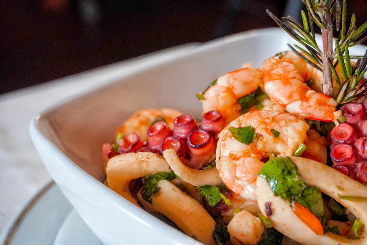 Churchill Maracay Photos 2